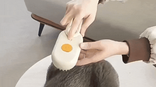 The Spa-Brush That Ends Grooming Battles Forever!