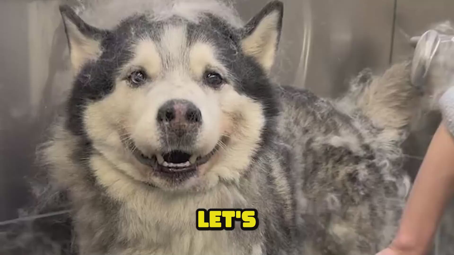 Load video: 